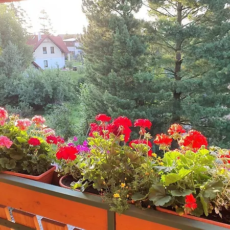 Chalet Chata Tereza By Interhome 木屋 Stará Lesná